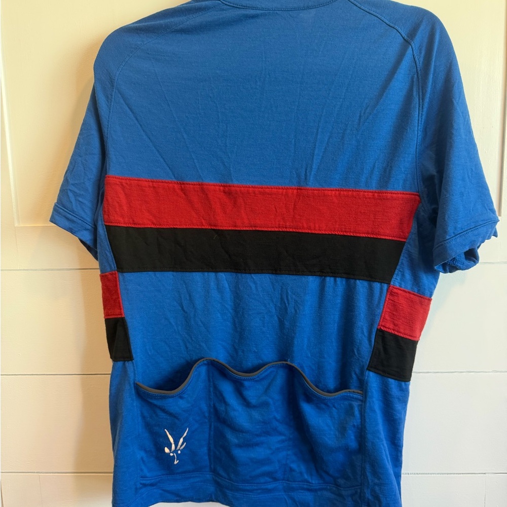 Ibex Wool Blue and Red Men's Cycling Jersey